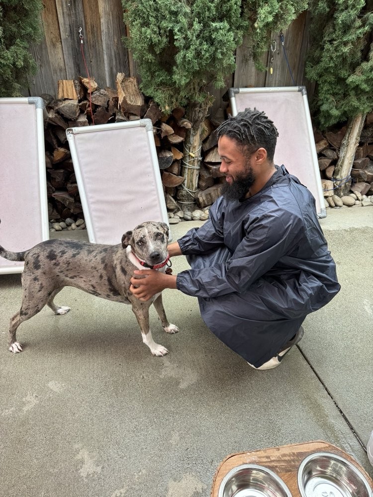Ace crouched beside a freshly washed catahoula mix wearing a red collar, smiling at the dog