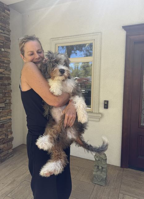 A woman holds a fluffy brown and white dog in her arms standing outside a house.