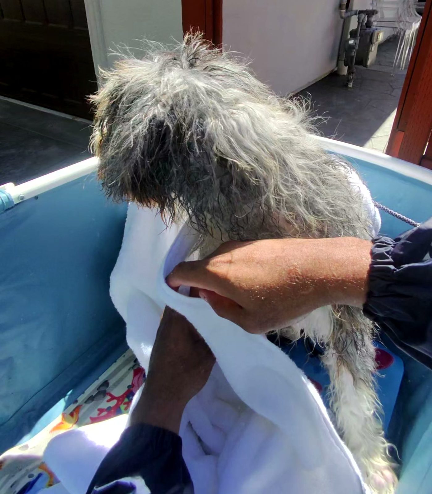 Towel first, with a light touch.